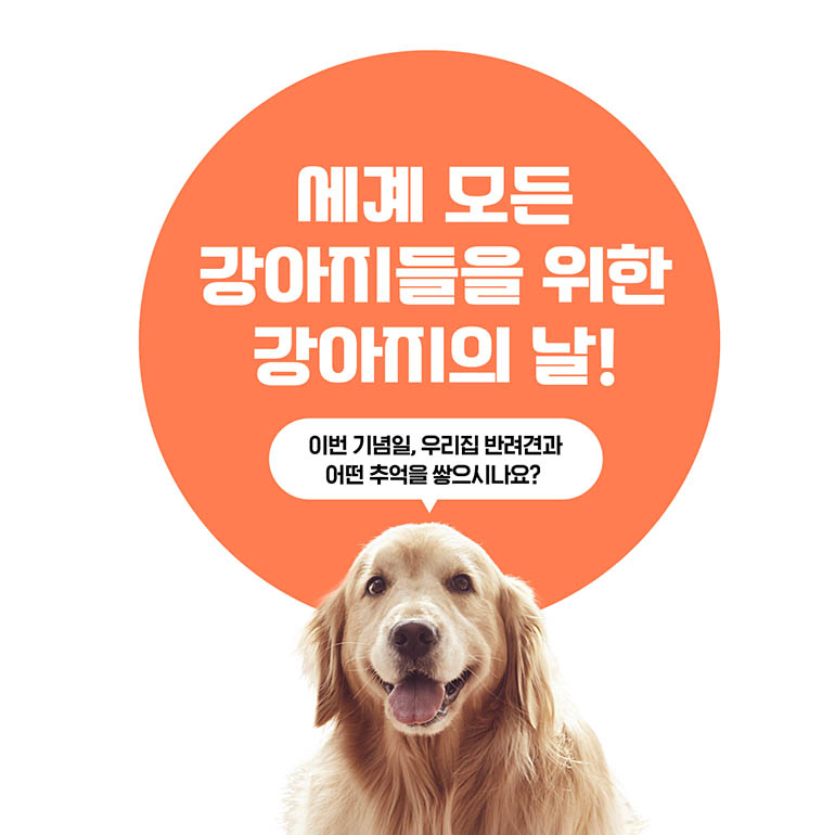 강아지의 날 세계 모든 강아지가 사랑 받는 강아지의 날! 이번 기념일, 우리집 반려견과 어떤 추억을 쌓으시나요?